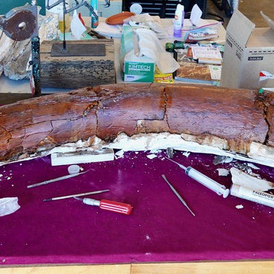 Mammoth Tusk