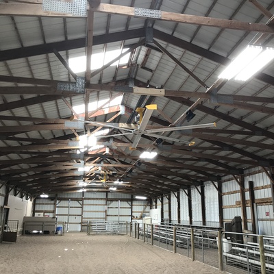 Show Barn Improvement