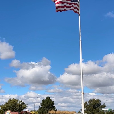 Provided Flag at City Entrance