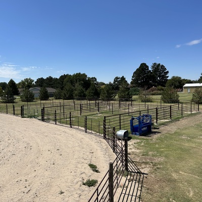 Horse Arena
