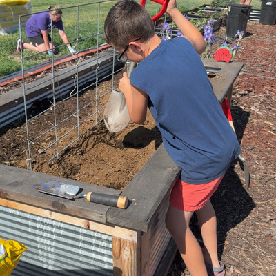 Students planting the Garden beds.
